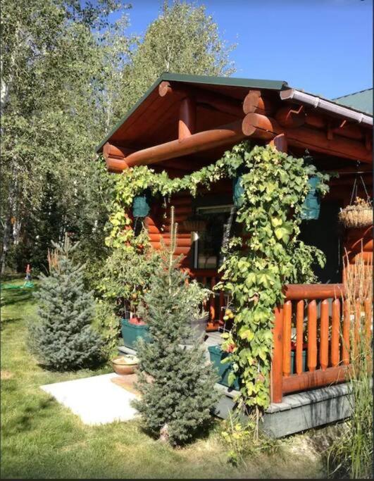 Lazy Fox Cabin West Yellowstone Esterno foto