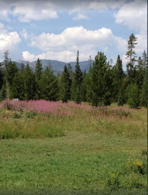Lazy Fox Cabin West Yellowstone Esterno foto